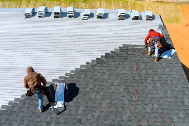 Best Roof Gutter Cleaning  in Fulton, IL
