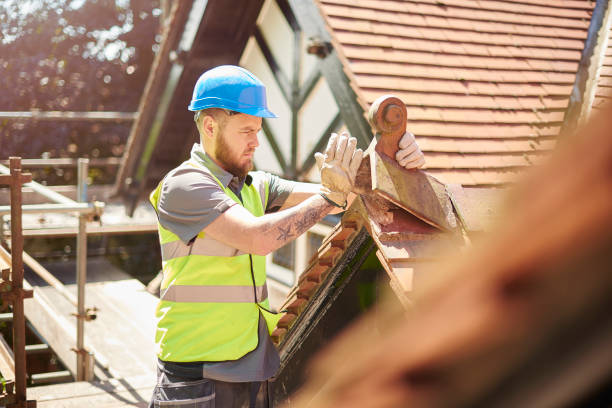 Best Metal Roofing Contractor  in Fulton, IL