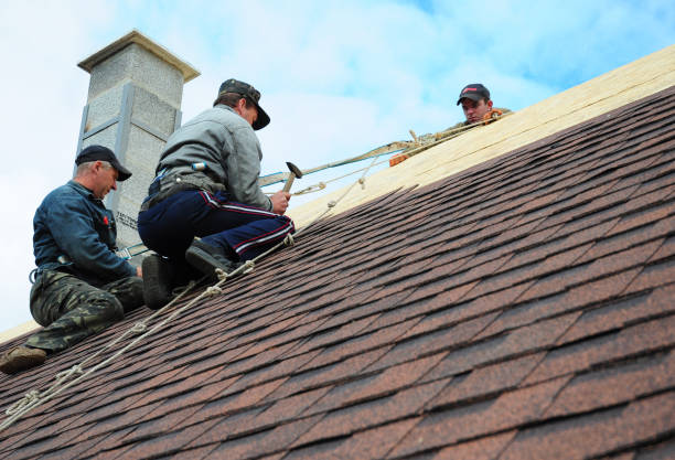 Best Metal Roofing Contractor  in Fulton, IL